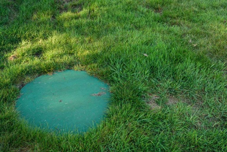 septic tank cover in field. do i need septic repair